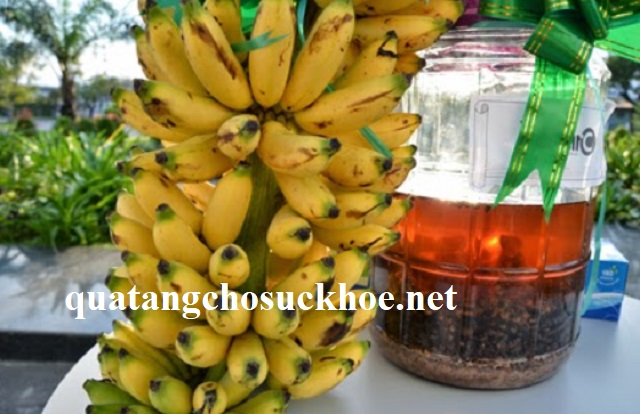 Tác Dụng Của Chuối Hột Khô đối Với Sức Khỏe Con Người